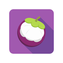 vector illustration of an apple