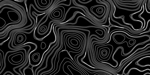 Generate a high-contrast black and white topographic map featuring detailed contour lines. The map should display various elevations using closely spaced, Topography and geography map grid abstract.