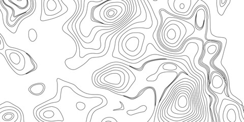 Topography and geography map grid abstract backdrop. Business concept. Fish Fillet Texture, Generate a high-contrast black and white topographic map featuring detailed contour lines. 