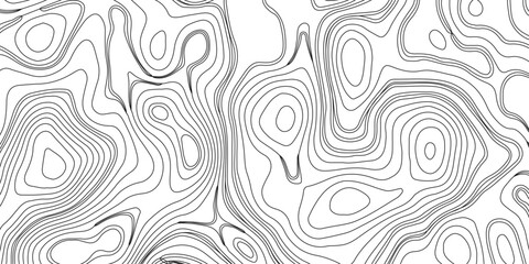 Topography and geography map grid abstract backdrop. Business concept. Fish Fillet Texture, Generate a high-contrast black and white topographic map featuring detailed contour lines. 
