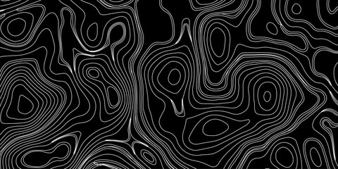 Topography and geography map grid abstract backdrop. Business concept. Fish Fillet Texture, Generate a high-contrast black and white topographic map featuring detailed contour lines. 