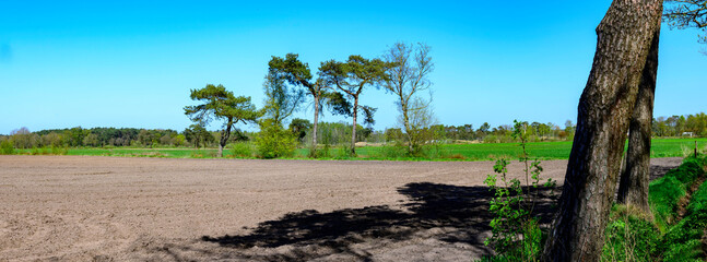 Panoramic photo of a plowed agricultural field with a few green trees in the middle and a forest in the background against a clear blue sky. Location: Lille, Province of Antwerp - Belgium