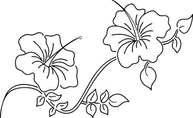 Hibiscus Flower Outline Drawing Two Blooming Flowers With Leaves And Stem Decoration