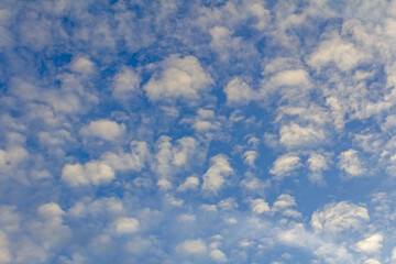 Altocumulus Cloudscape in Clear Blue Sky Background
