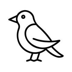 Isolated line drawing of a bird vector illustration for ornithology and nature design projects