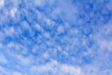 Altocumulus Cloudscape in Clear Blue Sky Background