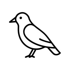 Download simple line art of a bird vector illustration for free bird watching enthusiasts design