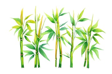 Fototapeta premium Fresh Bamboo Plants - Watercolor Botanical Nature Art 