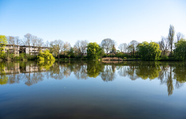 Tree reflections in the historical fortfication canal or Vesten in Ieper, West Flanders, Belgium