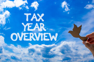 Tax year overview symbol. Concept words Tax year overview on beautiful blue sky. Beautiful blue sky and clouds background. Wooden bird. Businessman hand. Business tax year overview concept. Copy space
