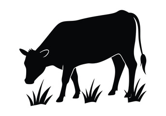 Cow Eat Grass on the Field Silhouette isolated on white background