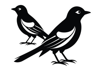 two flycatchers silhoutte isolated on white background 