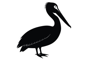a pelican silhouette on white background