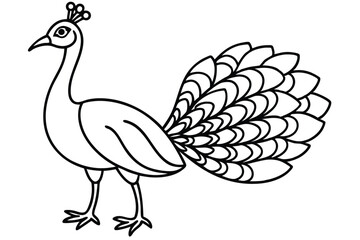 Peacock illustration coloring page for kids.
