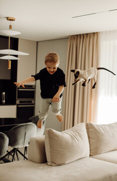 Boy and cat jumping on sofa in modern living room