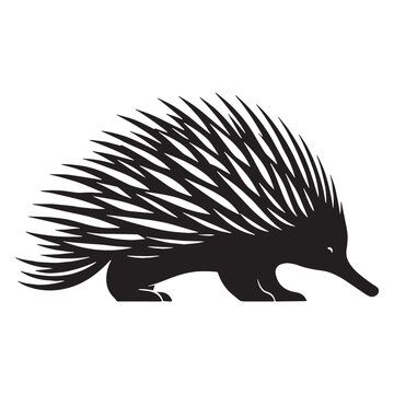 Simplified echidna silhouette vector formatted for scalable vector packs &ndash; echidna silhouette &ndash; echidna vector &ndash; echidna illustration &ndash; silhouette of echidna

