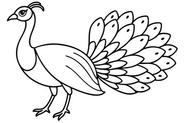 Peacock illustration coloring page for kids.