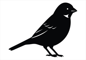Sparrow Silhouette isolated on white background