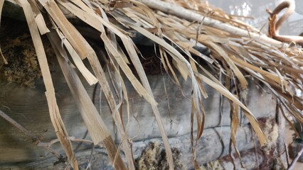Thatched roof on wooden house. Close-up of dry grass. Simple rustic house top. Weathered thatched roof shows texture and age of building. Eco friendly natural building materials