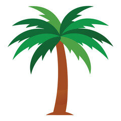 areca palm leaves vector