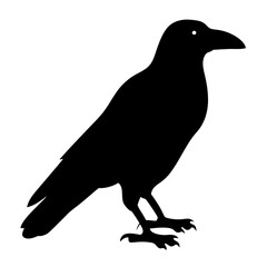 Silhouette of a Majestic Crow PerchedElegantly Against a Clean Canvas on a transparent background