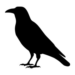 Silhouette of a majestic raven,with an air of mystery and foreboding on plain on a transparent background