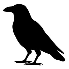 Silhouette of a Standing Raven Bird witha Black Color on a on a transparent background