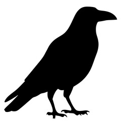 Silhouette of a Standing Raven,Featuring a Strong Beak and Dark Mysterious Aesthetic on a transparent background