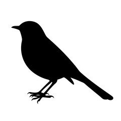 Black Silhouette of a Small Bird StandingProfile View Against a Illustration on a transparent background