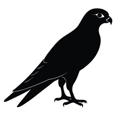 vector illustration of a bird