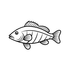 Wrasse Fish Sketch Vector