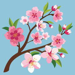cherry blossom flower vector