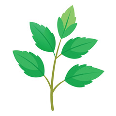 herb natural icon