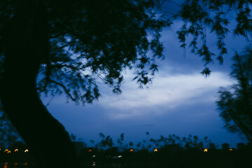 A moody, blurred image of a tree silhouette against a deep blue evening sky with a sense of mystery and artistic impression. Blue night urban sky