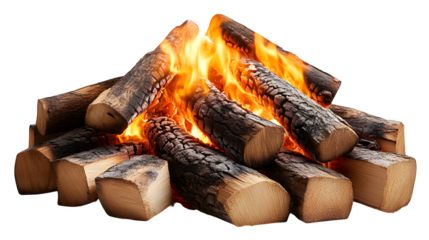 Large burning bonfire with wood logs, isolated on white background
