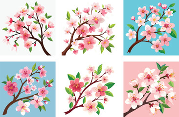 Pink cherry blossom sakura blooms on a tree branch, a beautiful floral display of spring nature in Japan