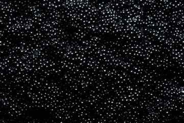 Luxury black caviar background mockup featuring sturgeon varieties with space for text