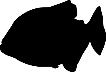 Piranha silhouette