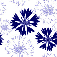 seamless pattern with blue cornflowers flowers, Floral graphic design
