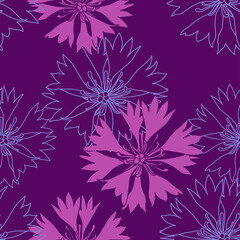 seamless pattern with pink cornflowers flowers, Floral graphic design