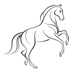 Elegant Line Art of a Rearing Horse Captured in Dynamic Motion