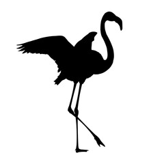 flamingo silhouette – vector illustration