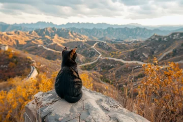 Fotobehang Black cat sitting on a rock overlooking the Great Wall of China and colorful autumn landscape. © Ajleen Pixels&Places