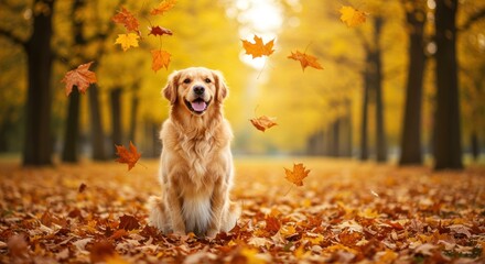 Laptop books plant and pen on a wooden desk against a white wall.