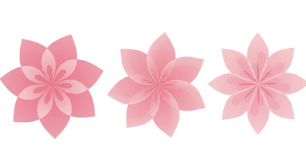 Fototapeta premium Pink Floral Designs Three Elegant Flower Illustrations