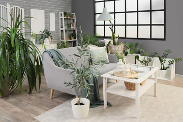 Interior of modern living room with grey sofa, table and plants