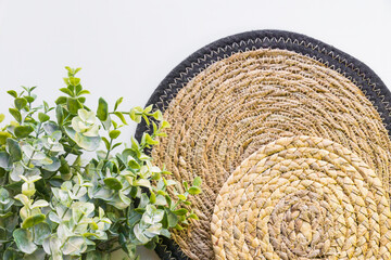 Two overlapping round wicker serving trays and green plant on white background
