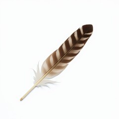 Single brown and white striped feather placed diagonally on seamless white background, sharp focus, minimal and natural.

