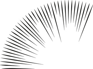 One quarter of a circular shape with irregular rays extending outward from the center.