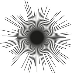 Fototapeta premium Circular shape with irregular rays of significantly varying lengths radiating outward.